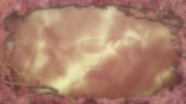 Snapshot for Hakumei and Mikochi Episode 12