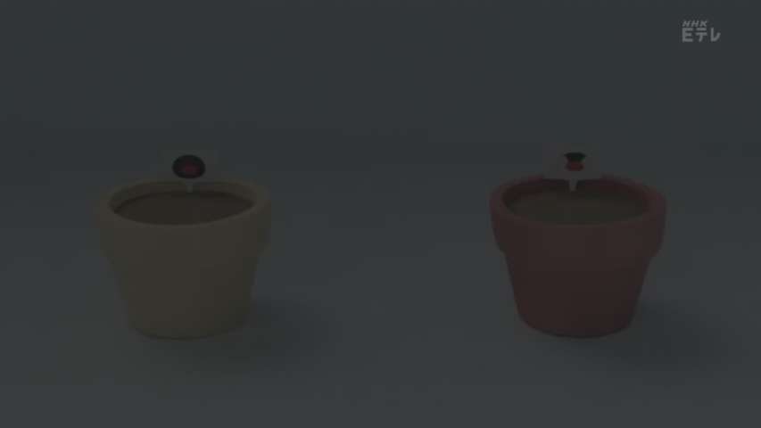 Snapshot for Pingu in the City Episode 26