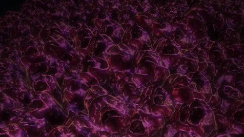 Snapshot for Berserk (2016) Episode 12